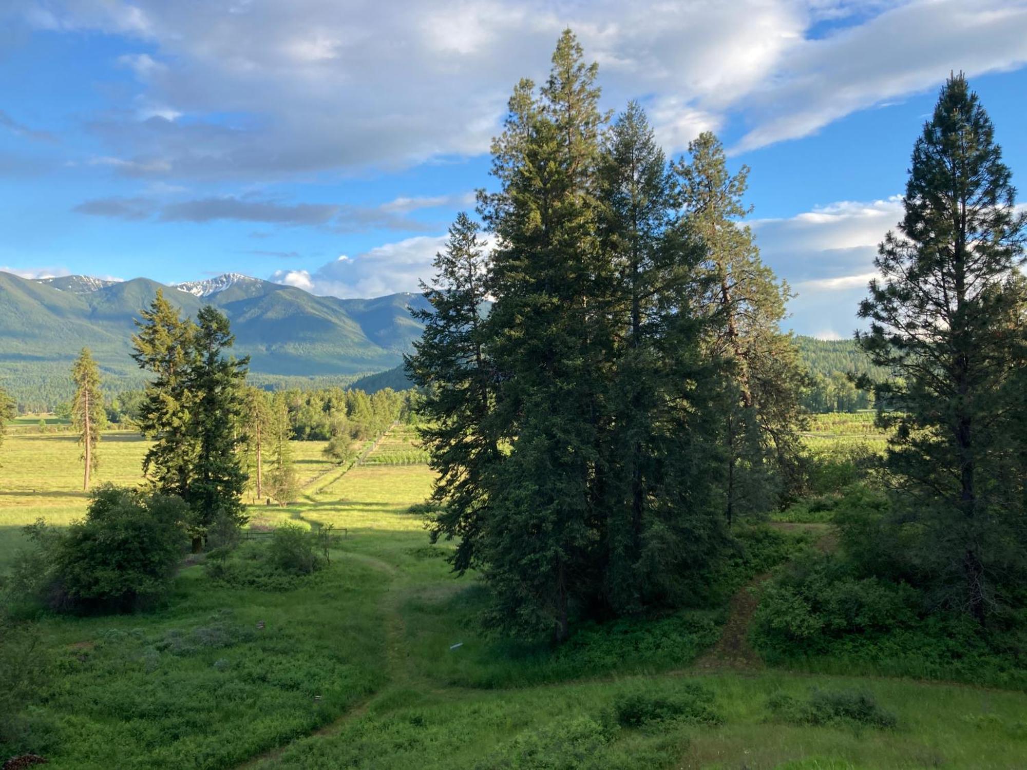 Hideaway Ranch Vendégház Bonners Ferry Kültér fotó
